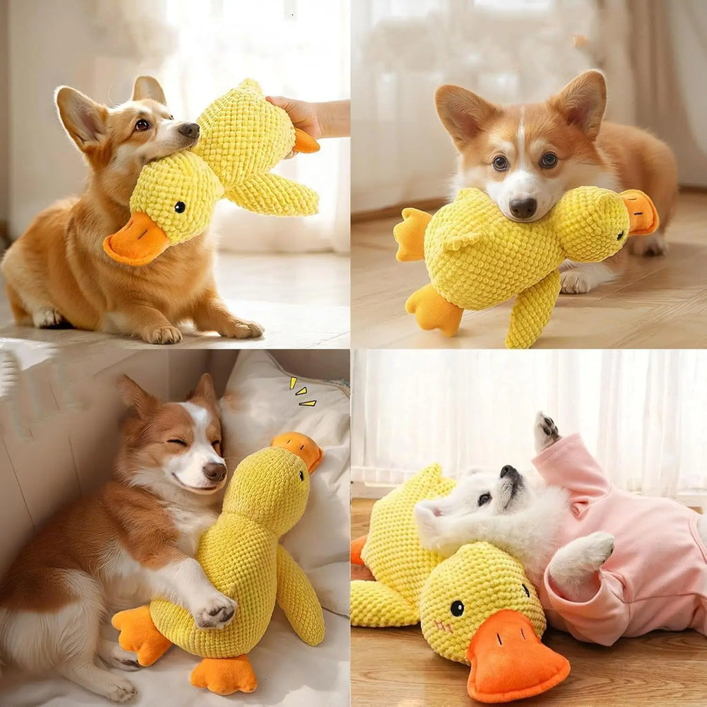 Squishy Duck Dog Toy 🦆