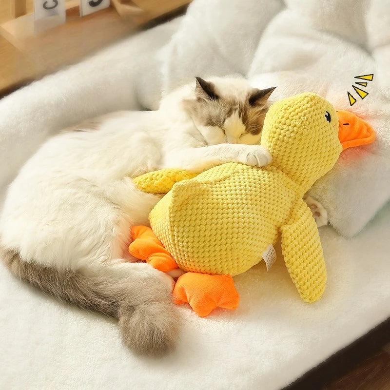Squishy Duck Dog Toy 🦆